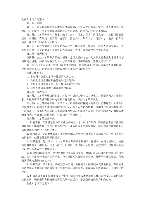 企业人才培养方案