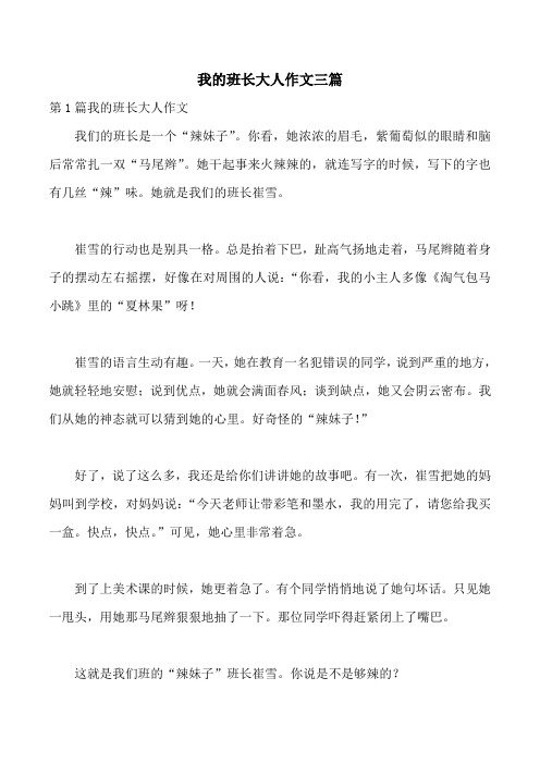 我的班长大人作文三篇
