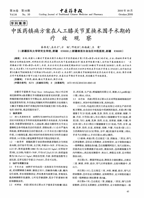 中医药镇痛方案在人工膝关节置换术围手术期的疗效观察