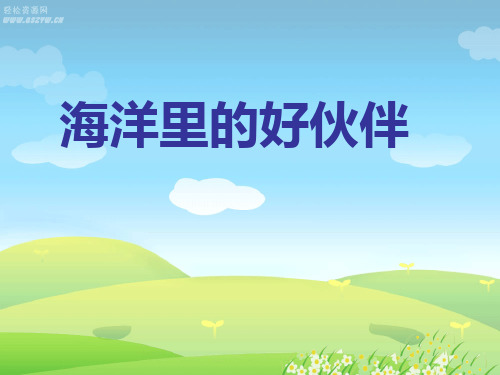 海洋里的好伙伴