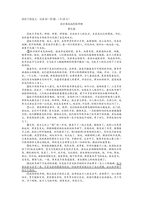 故乡那高高的粘枣树 阅读理解及答案