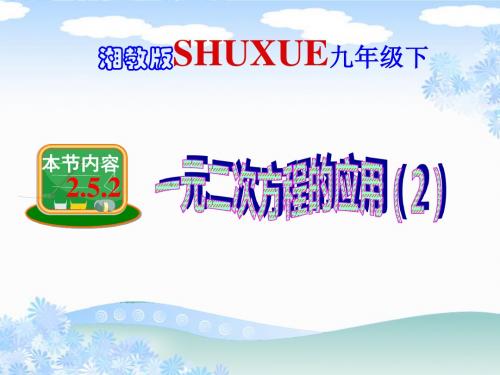 新湘教版九年级上册课件 2.5一元二次方程的应用(2) (共15张PPT)