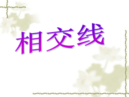 人教版初中数学相交线_优质课件1