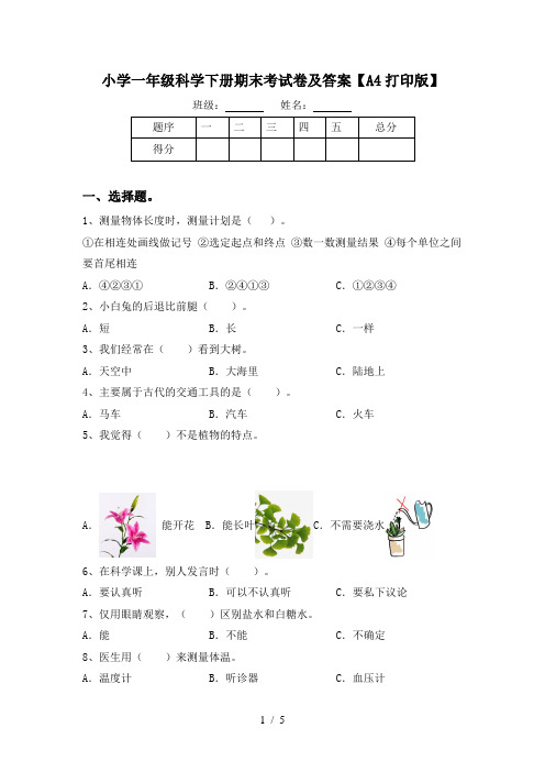 小学一年级科学下册期末考试卷及答案【A4打印版】