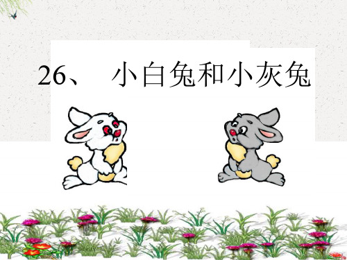 (人教新课标)一年级语文下册第26课《小白兔和小灰兔》课件(2)(共13张PPT)