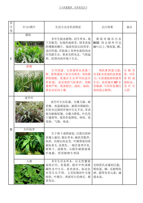 水生植物汇总