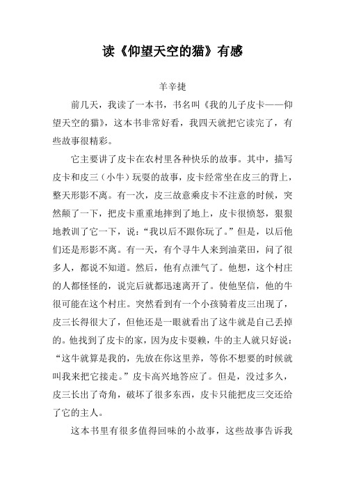 读《仰望天空的猫》有感(羊辛捷)