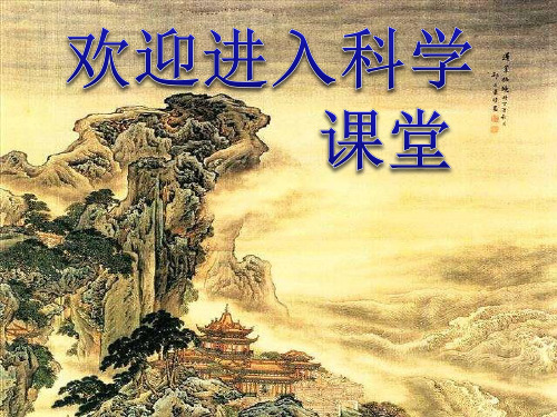 2020年小学科学树木与人ppt课件