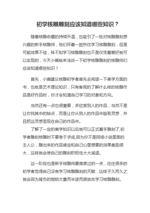初学核雕雕刻应该知道哪些知识？