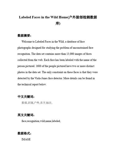 图像处理_Labeled Faces in the Wild Home(户外脸部检测数据库)