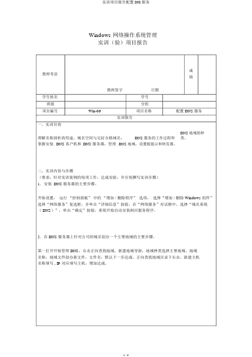 实训项目报告配置DNS服务