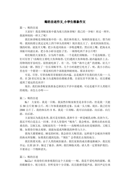 鲸的自述作文_小学生想象作文