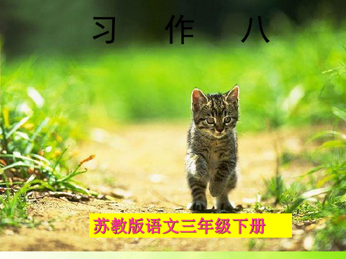 【全版】三年级语文下册习作八《看图编童话》课件3苏教版推荐PPT
