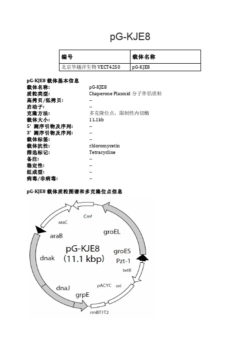 pG-KJE8大肠杆菌表达载体说明