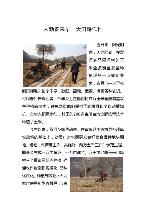 人勤春来早  大田耕作忙