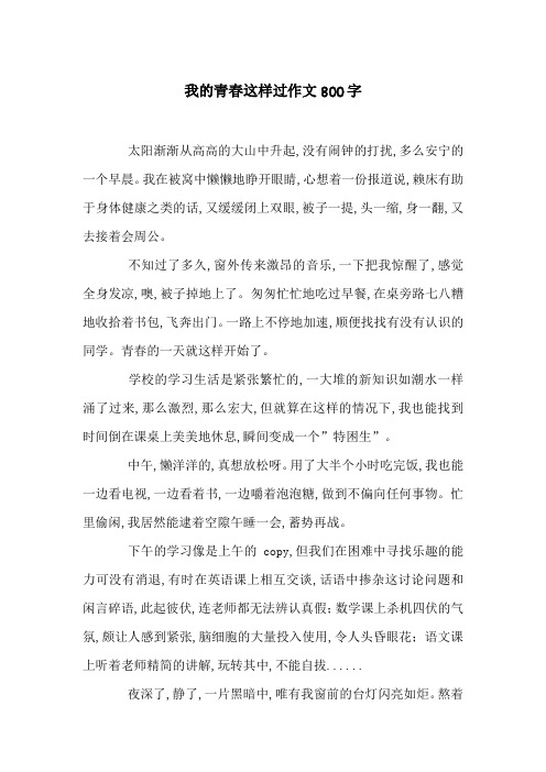 我的青春这样过作文800字