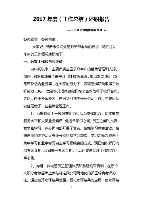 2017年度(工作总结)述职报告.doc