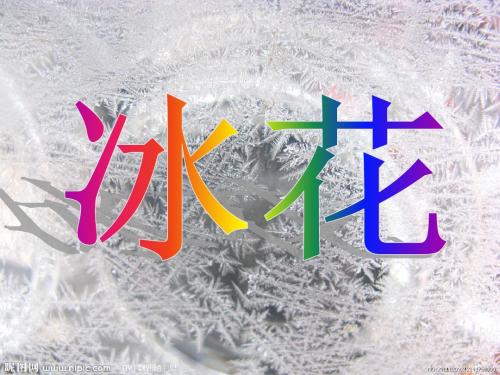 一年级语文上册《冰花》课件5苏教版