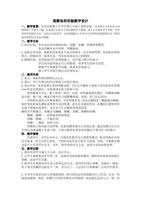 观察鱼的实验教学设计