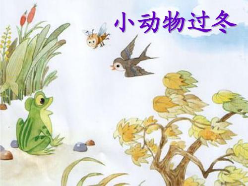 小动物过冬.ppt