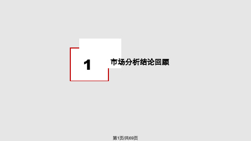 武汉红旗岛生态大盘项目定位与规划建议汇报PPT课件