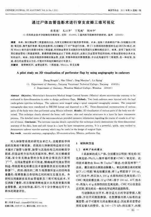 通过尸体血管造影术进行穿支皮瓣三维可视化