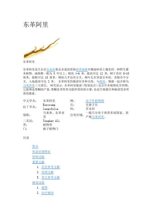 东革阿里