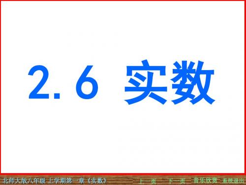2.6 实数