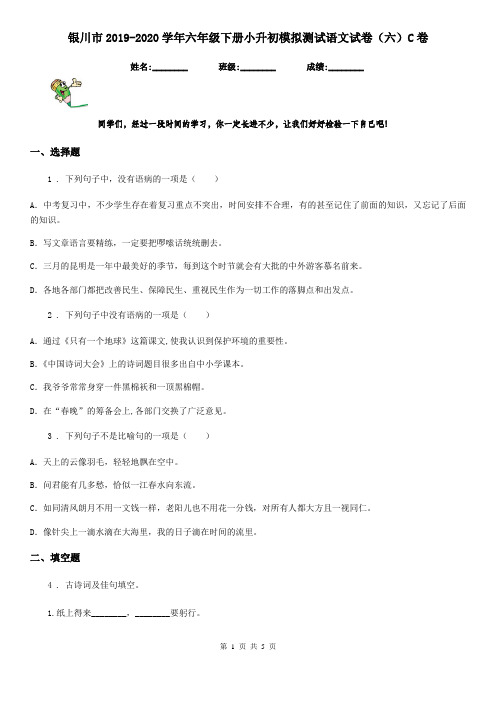 银川市2019-2020学年六年级下册小升初模拟测试语文试卷(六)C卷
