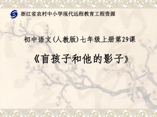 《盲孩子和他的影子》课件