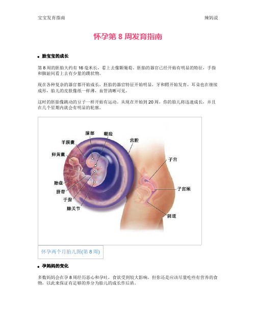 怀孕第8周发育指南