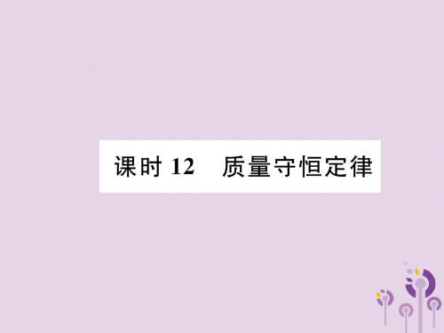 贵阳中考化学总复习物质的化学变化课时12质量守恒定律(精讲)课件