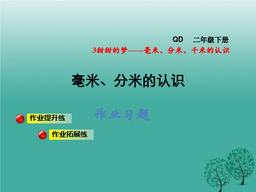 二年级下册数学毫米、分米、千米的认识习题.ppt