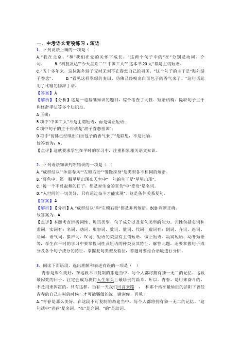 初中中考 语文 短语训练及答案(Word版)