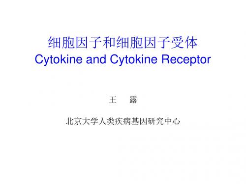 20110916细胞因子和细胞因子受体