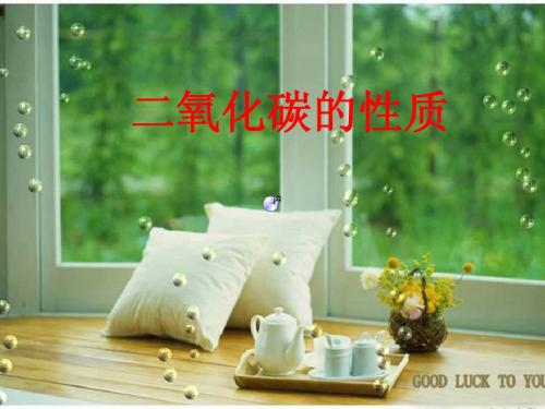 二氧化碳的性质