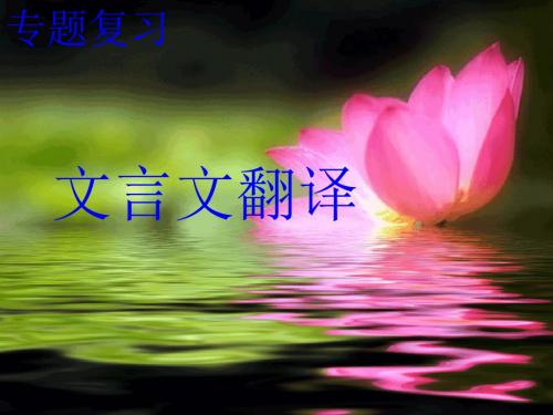 高三年级语文学科一轮复习导学案【精选】