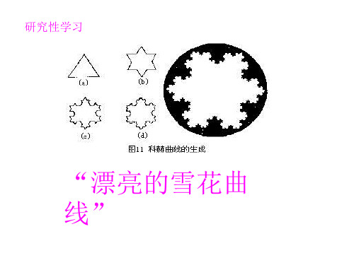 漂亮的雪花曲线.ppt