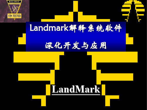 Landmark2003软件深化及应用