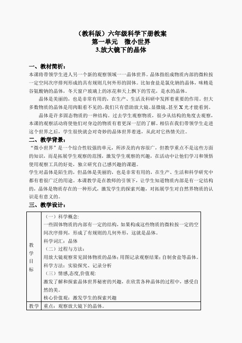 教科小学科学六下《1.3、放大镜下的晶体》word教案(7)