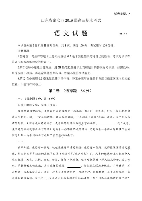山东省泰安市2016届高三期末语文试题