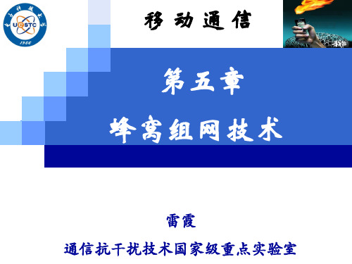 LX 移动通信   蜂窝组网技术 合并