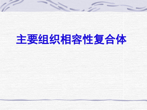 主要组织相容性复合体