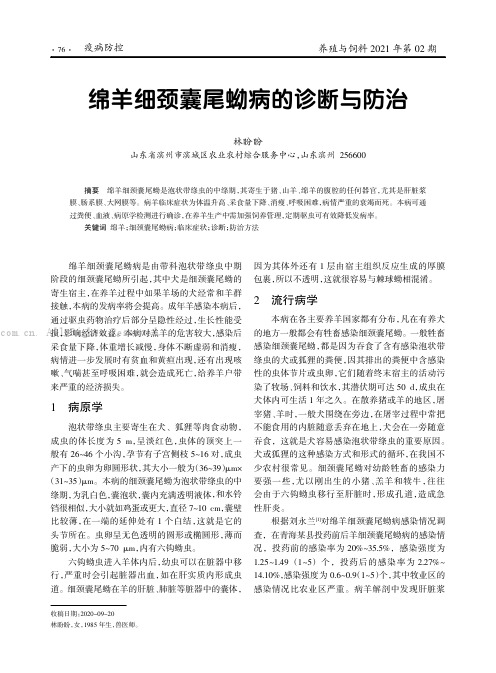 绵羊细颈囊尾蚴病的诊断与防治