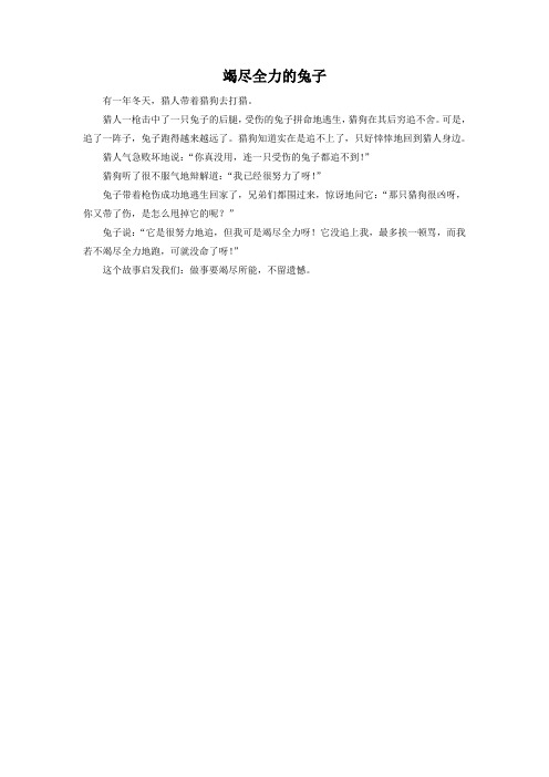 拓展阅读-《竭尽全力的兔子》