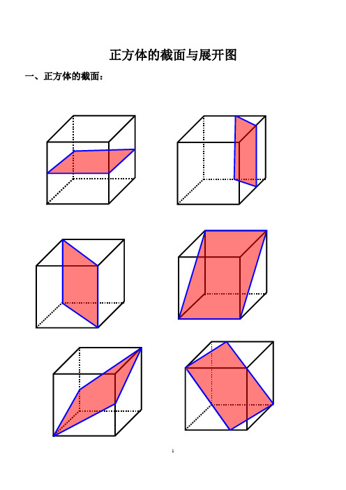 正方体的截面展开图