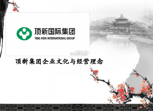 顶新集团