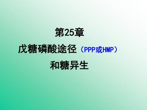 第25章磷酸戊糖途径和糖异生