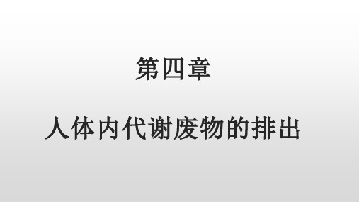 第四章人体代谢废物的排出复习课2022-2023学年济南版生物七年级下册