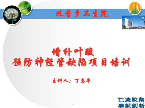 叶酸发放管理流程参考资料